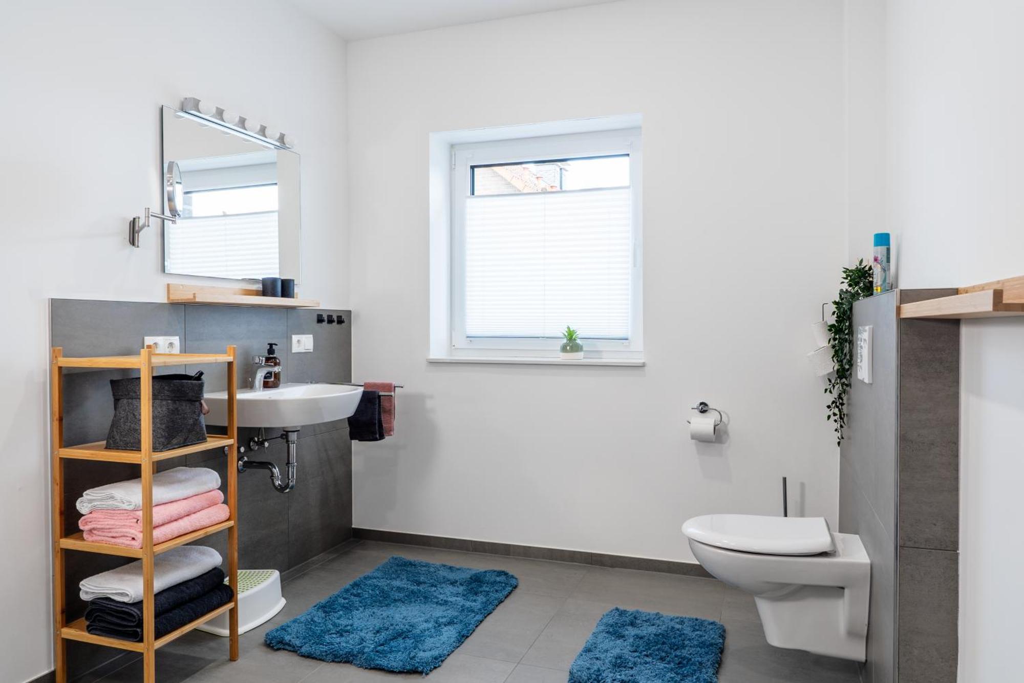 Schoenes Penthouse Duemmer See - Lembruch Hüde Εξωτερικό φωτογραφία